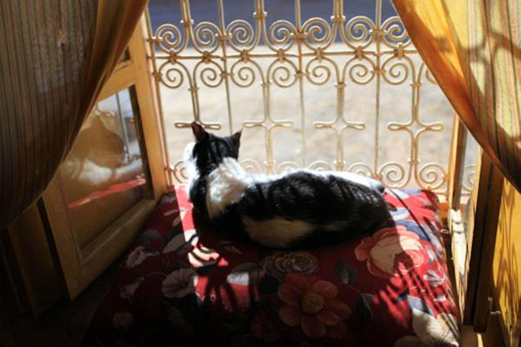 Auberge Chez Julia Merzouga Extérieur photo